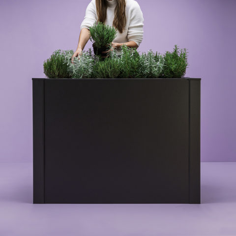 db_herbs3