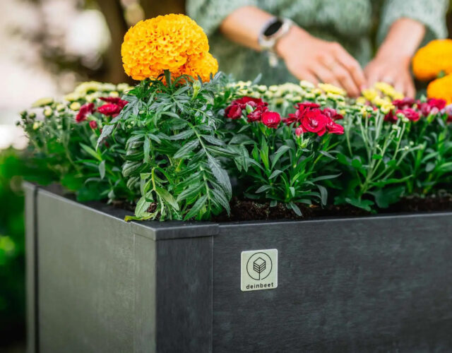 Werbeagentur Stuttgart: Erfolgreiche App-Kampagnen mit klarer Botschaft – das Beispiel Denns Biomarkt Wie bringt man eine neue App schnell in die Köpfe und Smartphones der Konsumenten? Die aktuelle Kampagne von Denns Biomarkt zeigt eindrucksvoll, wie eine durchdachte Strategie, Humor und Alltagsnähe zusammenspielen. Für Unternehmen aus Baden-Württemberg ist das ein spannendes Best-Practice-Beispiel, das auch für jede Werbeagentur in Stuttgart hochrelevant ist.